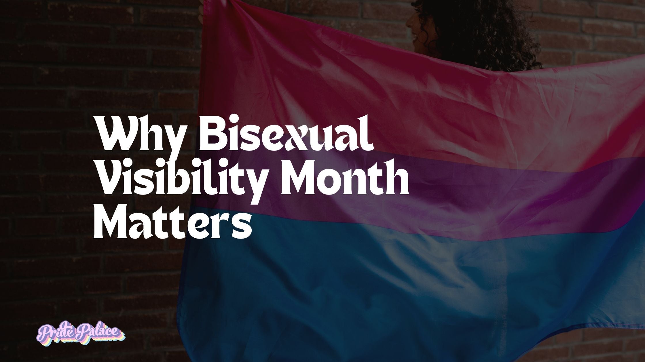 Why Bisexual Visibility Month Matters 💜💙💖