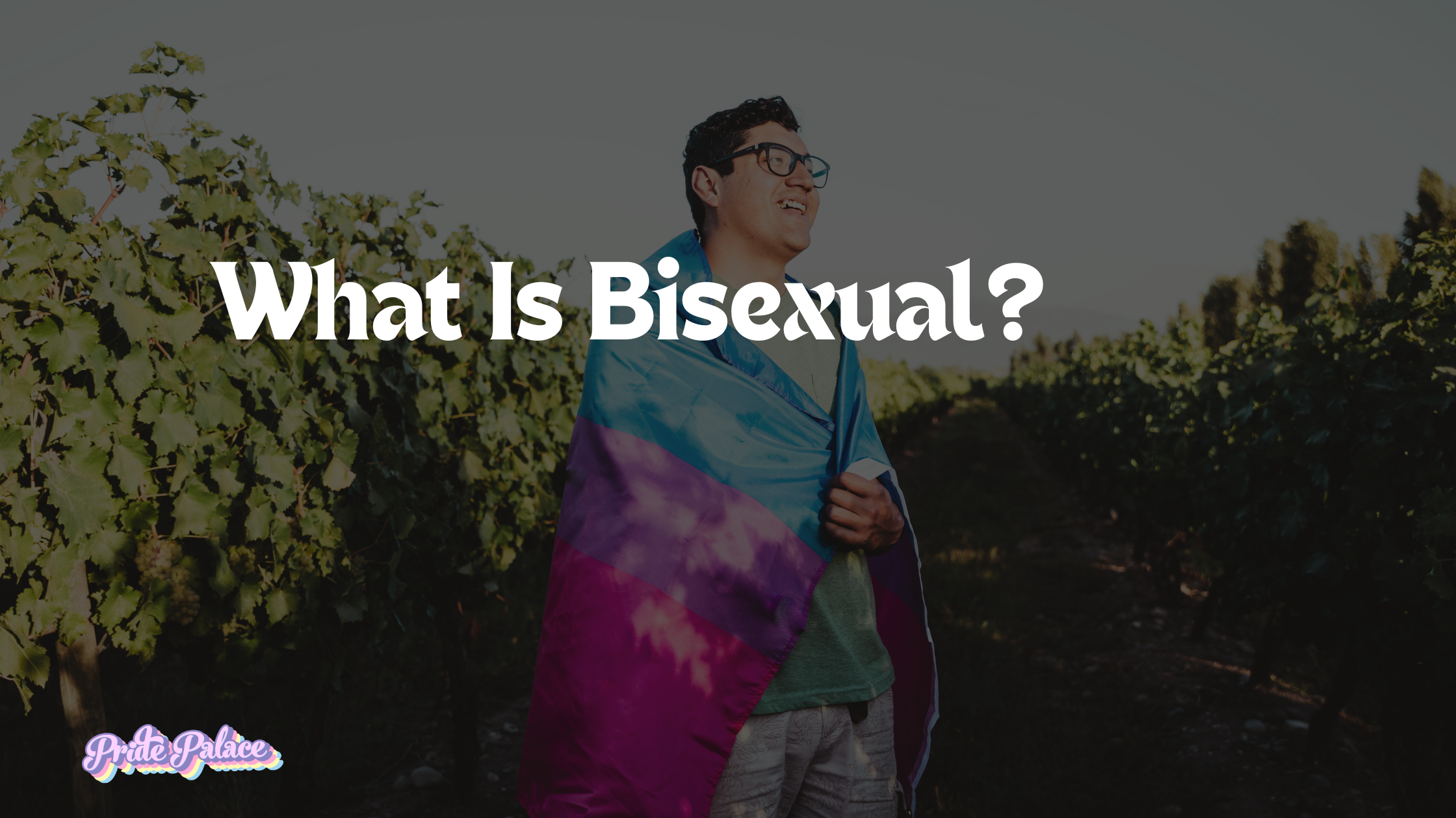 What is Bisexual?