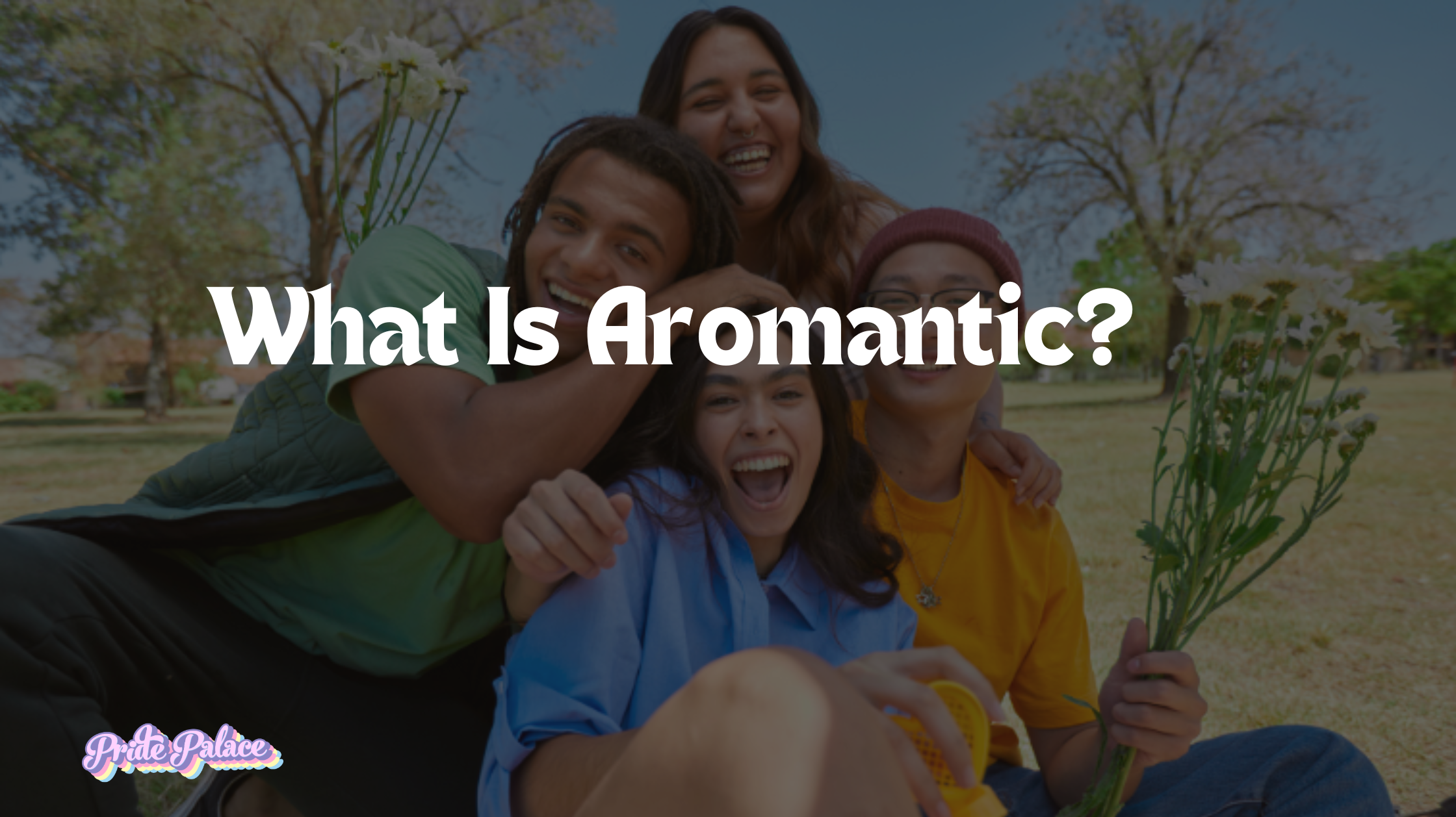 What Is Aromantic?