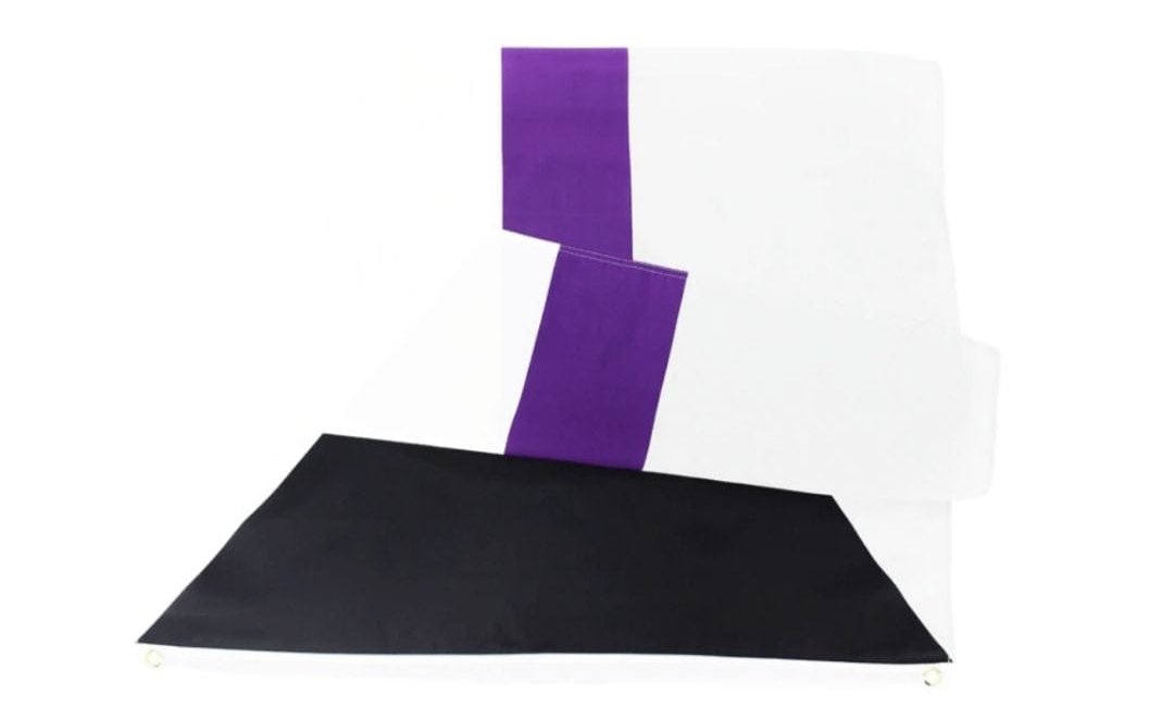 Demisexual Pride Flag - Pride Palace
