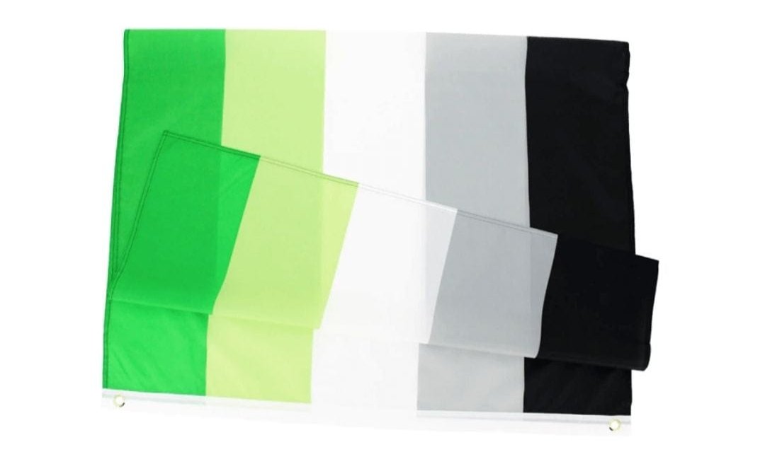 Aromantic Flag - Pride Palace