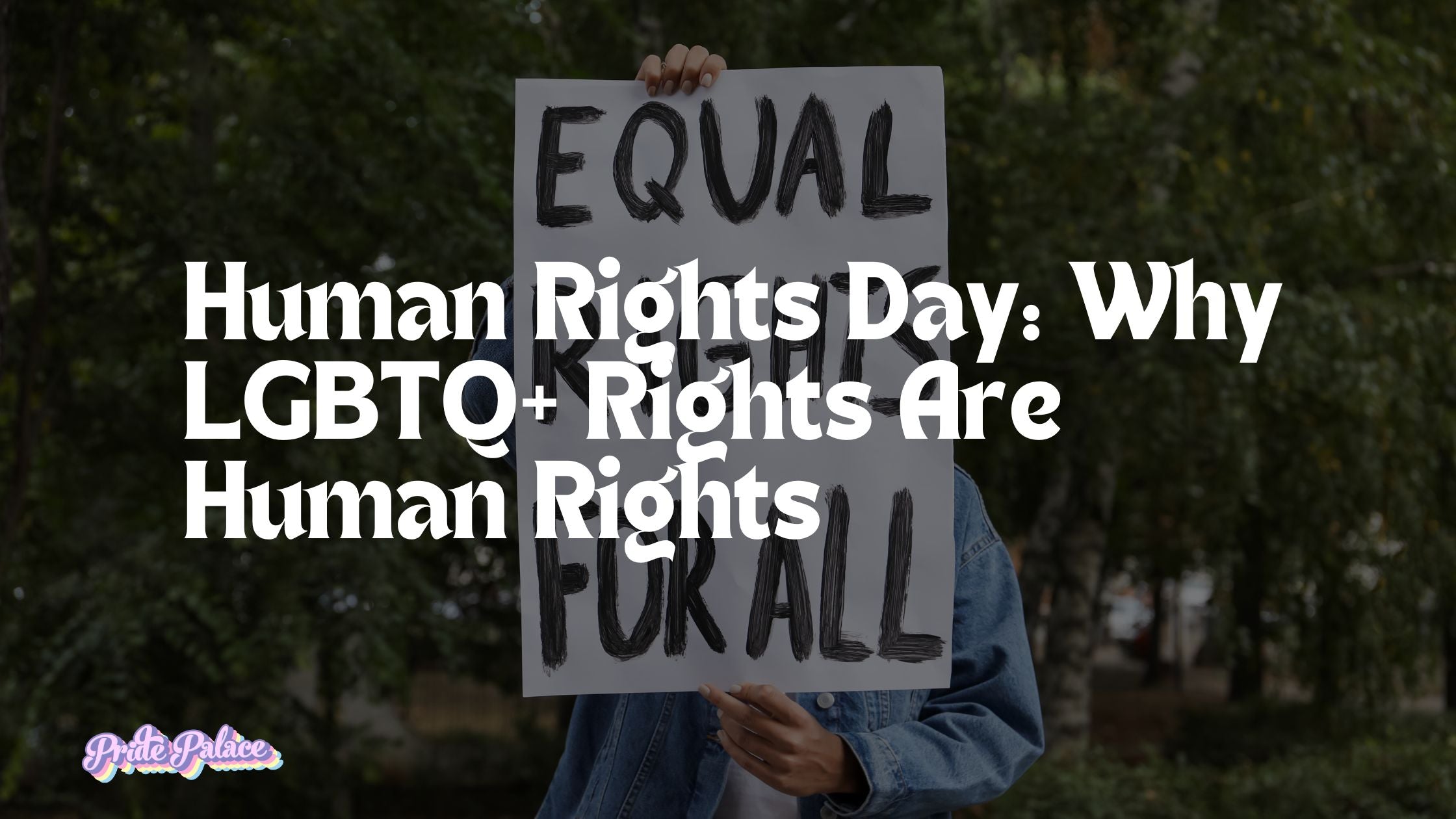 Human Rights Day: Why LGBTQ+ Rights Are Human Rights
