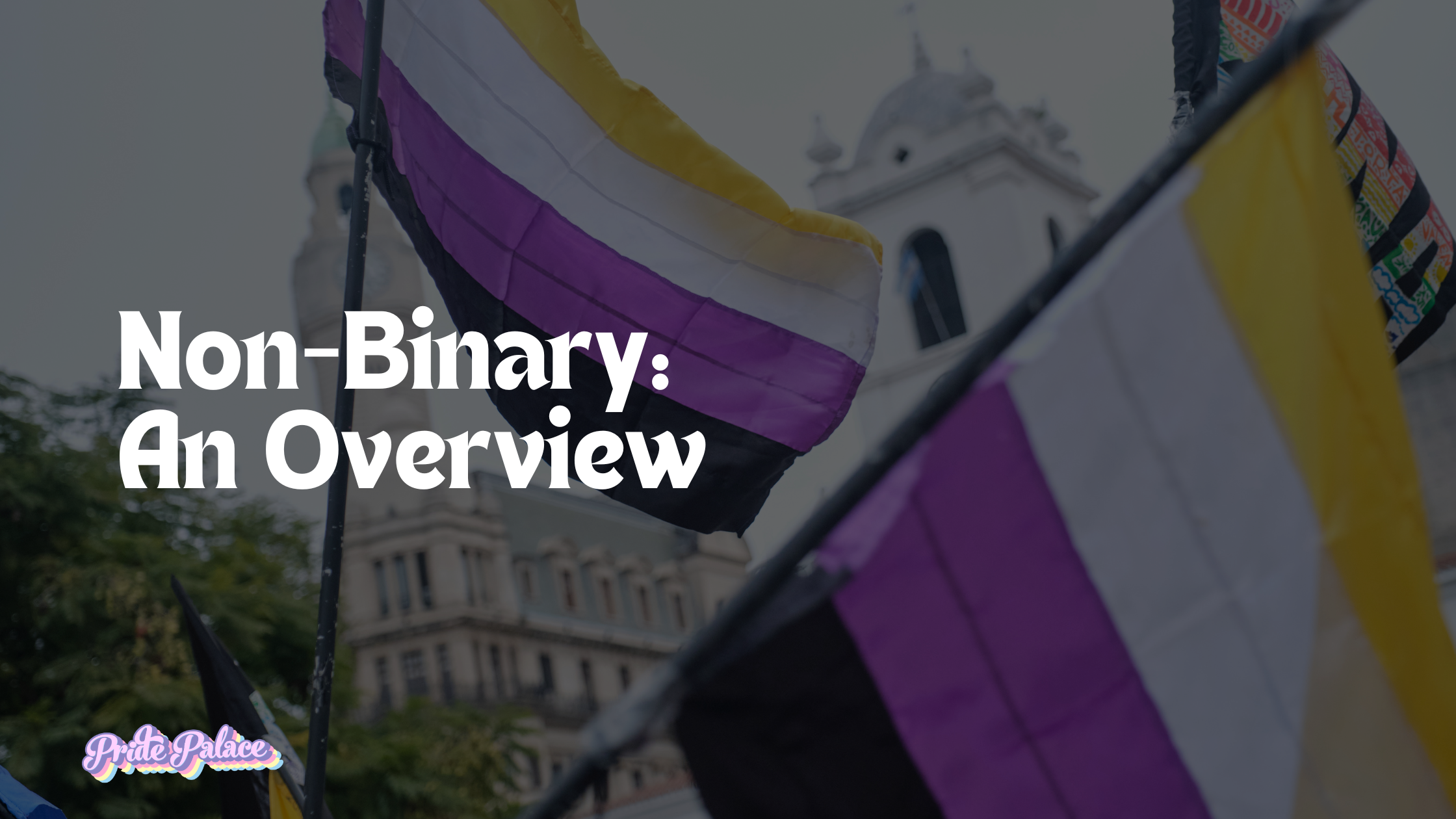 Non-Binary: An Overview